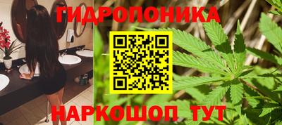 ешки Краснознаменск