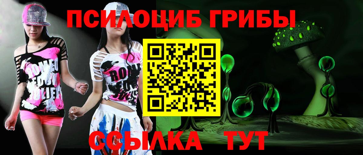 Галлюциногенные грибы Psilocybine cubensis  Вход с VPN  Псилоцибиновые грибы Cubensis  Гусь-Хрустальный 