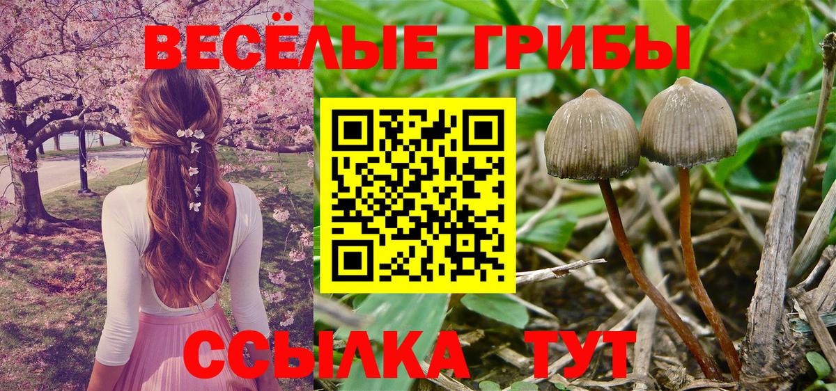 Гусь-Хрустальный  ГАШ  ТГК  Гашиш  Мефедрон   Вход с VPN  APVP СК  